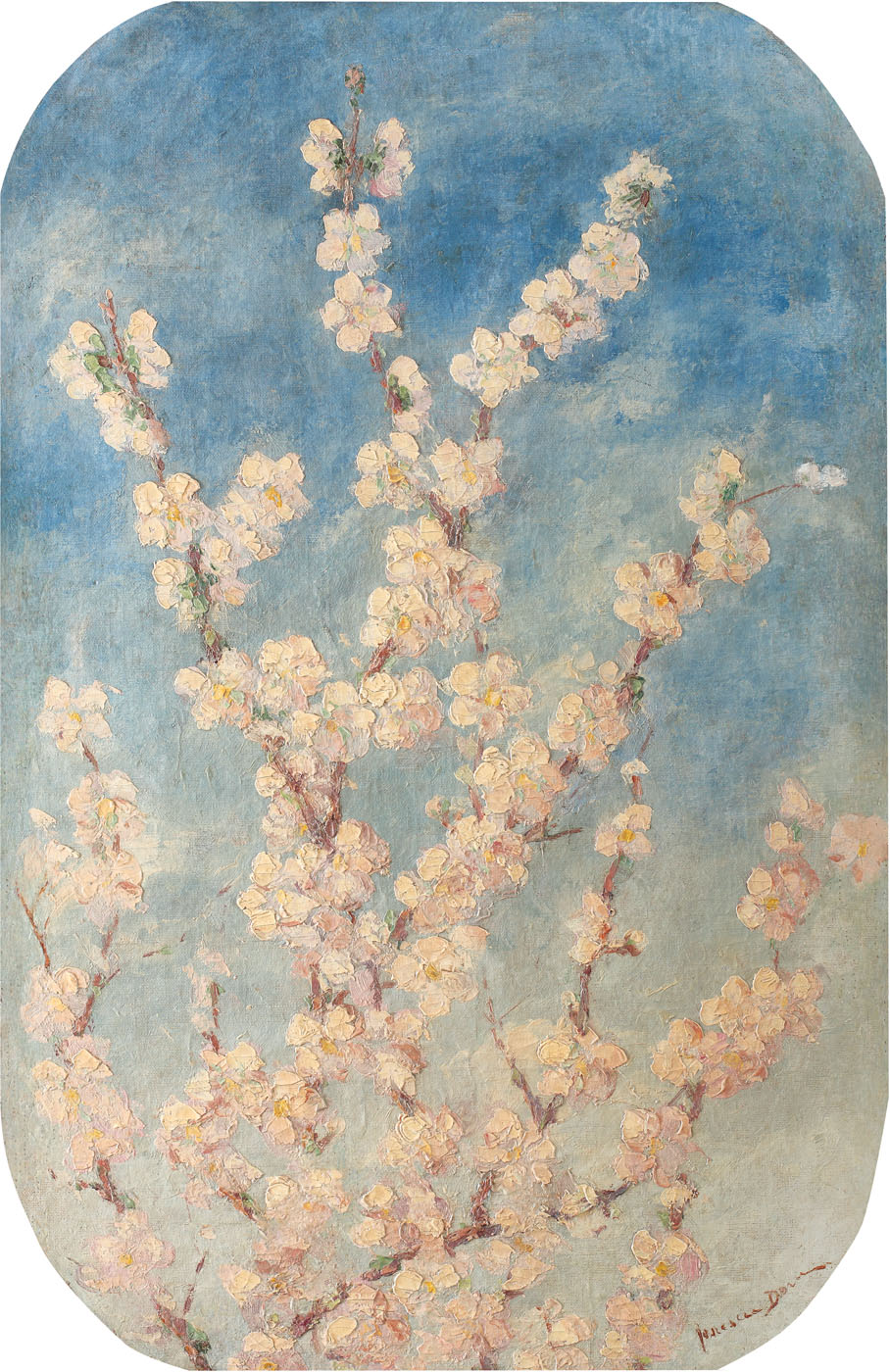 Flori de măr