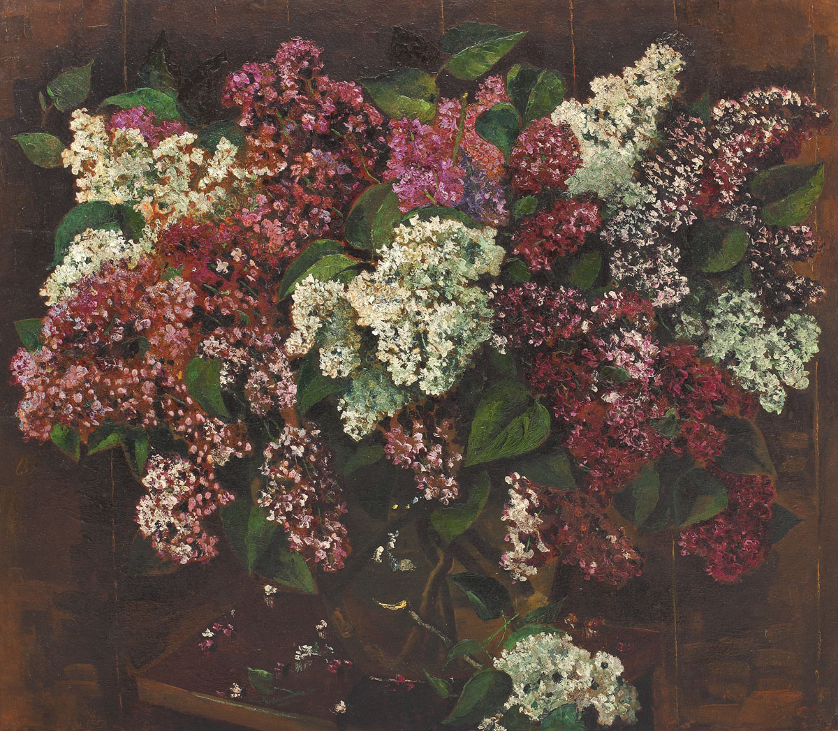 Flori de liliac