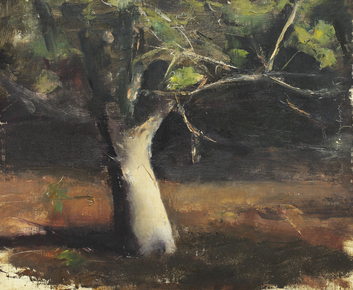 The apple tree