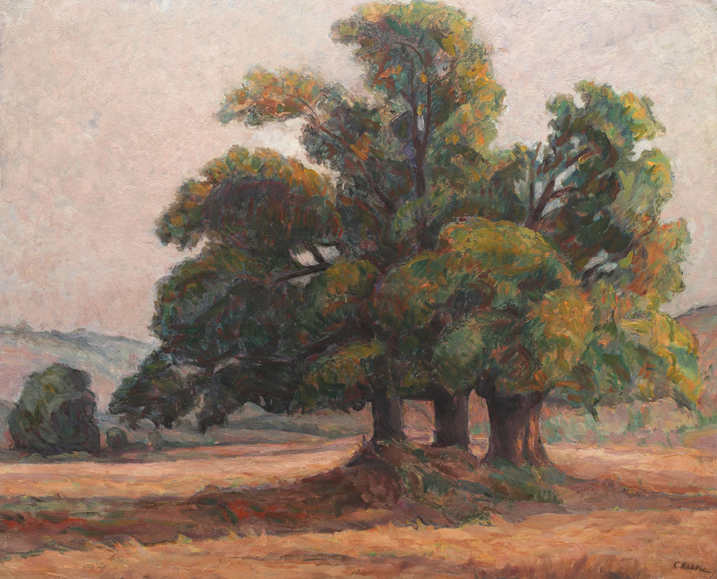 Stejarii