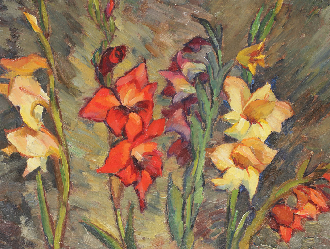 Gladiole