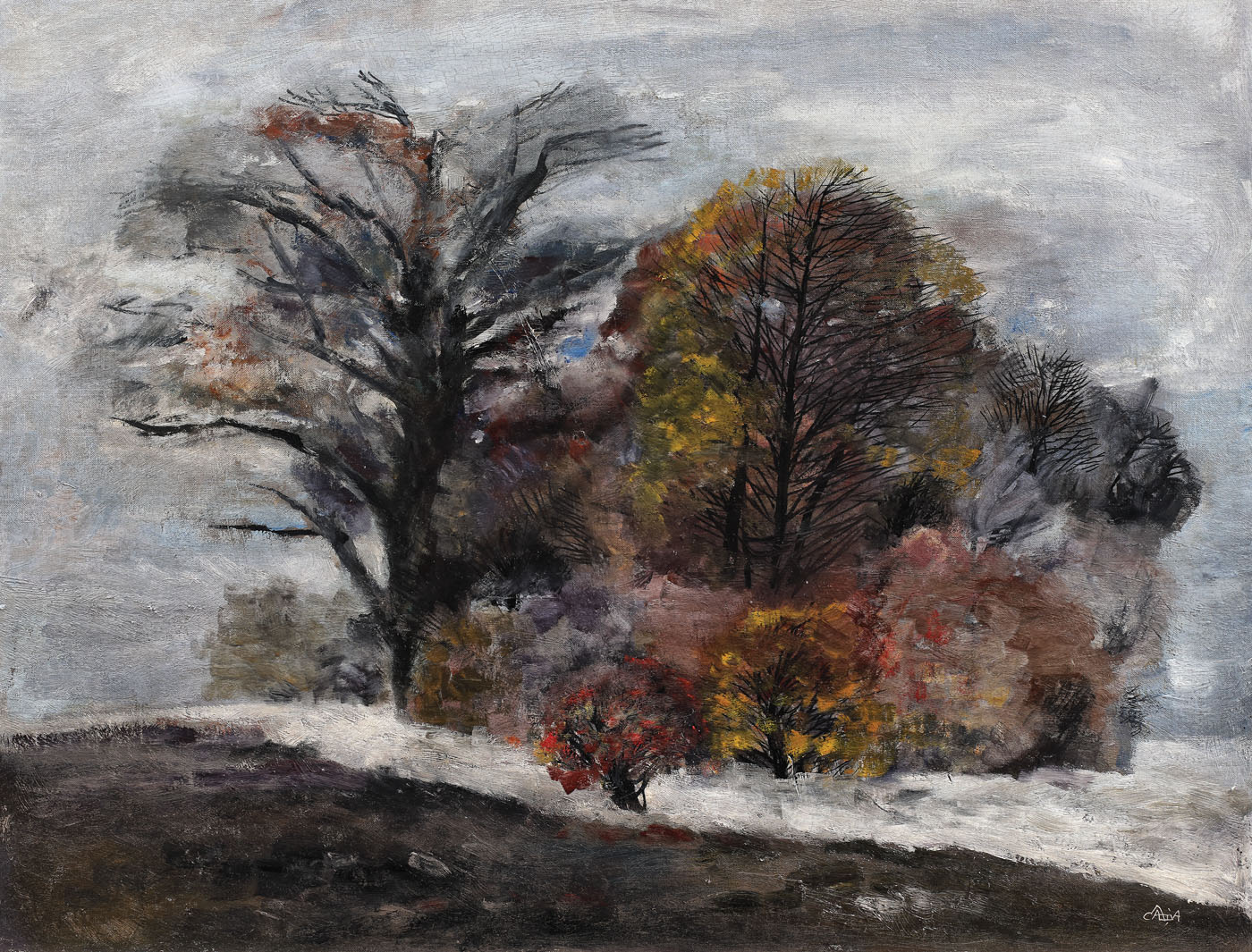 Forest Edge