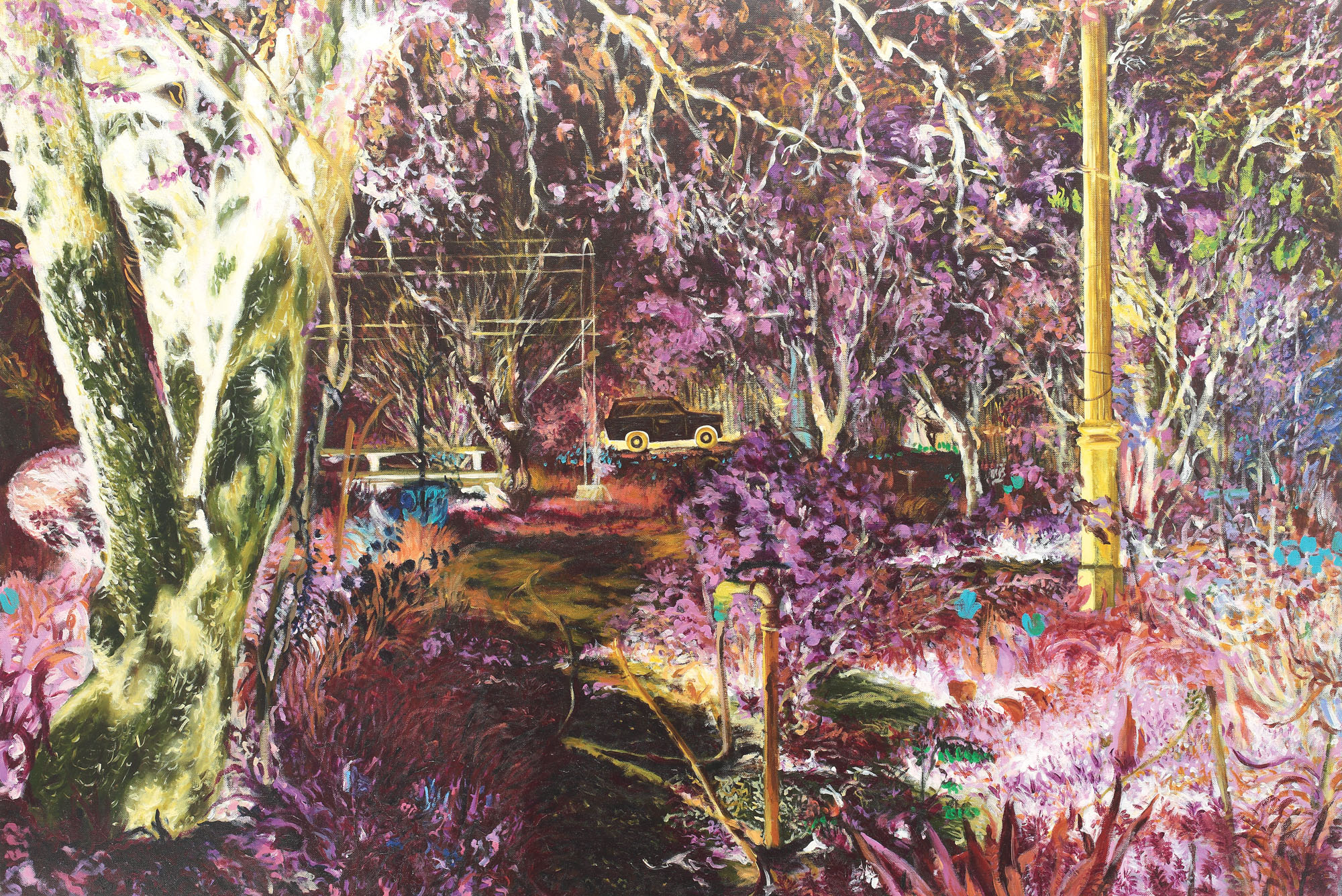 Oana's garden