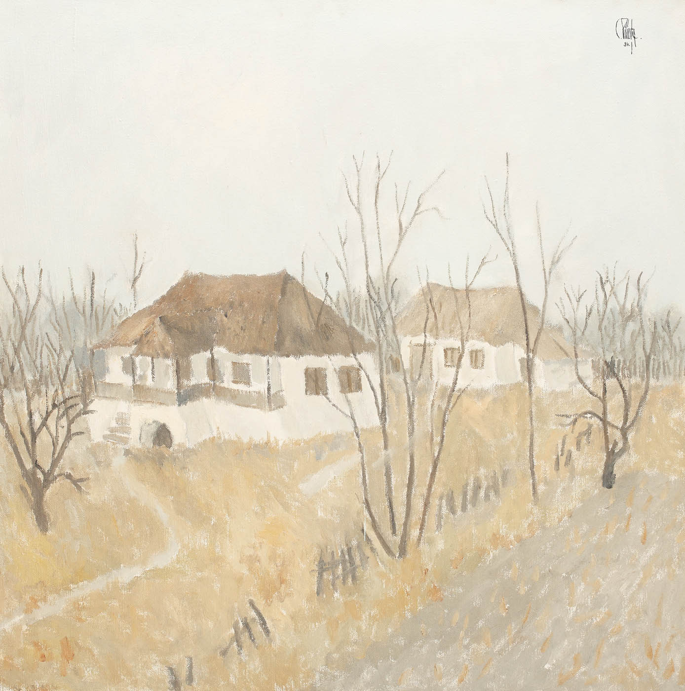 Satul copilăriei