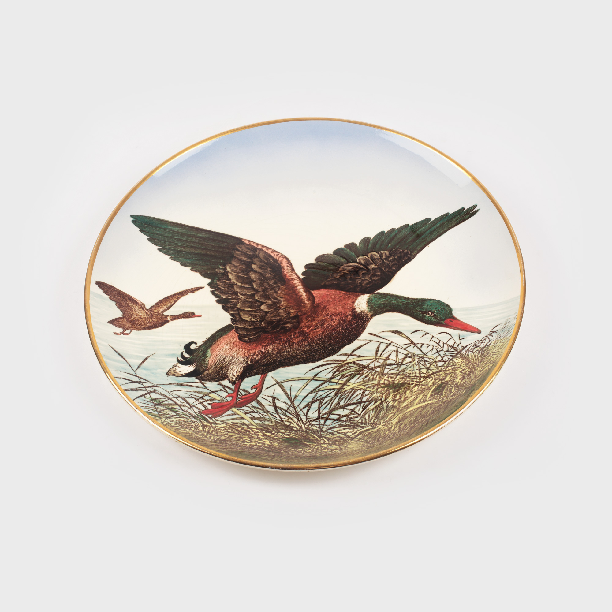 Platou Villeroy & Boch, pictat, semnat în monogramă AP, 1910