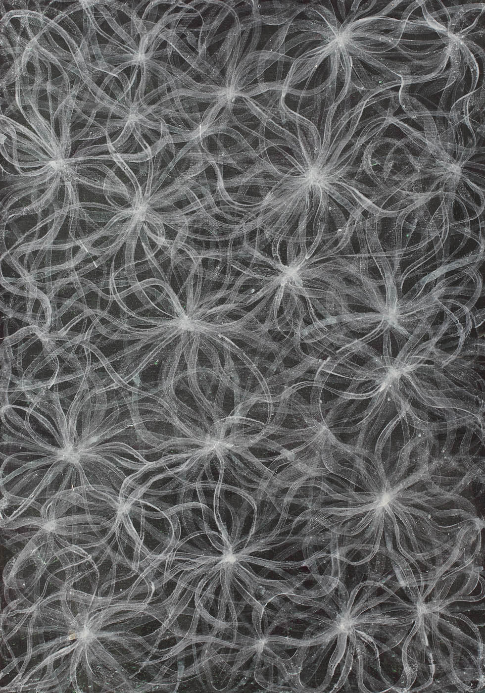 Fleurs de neige