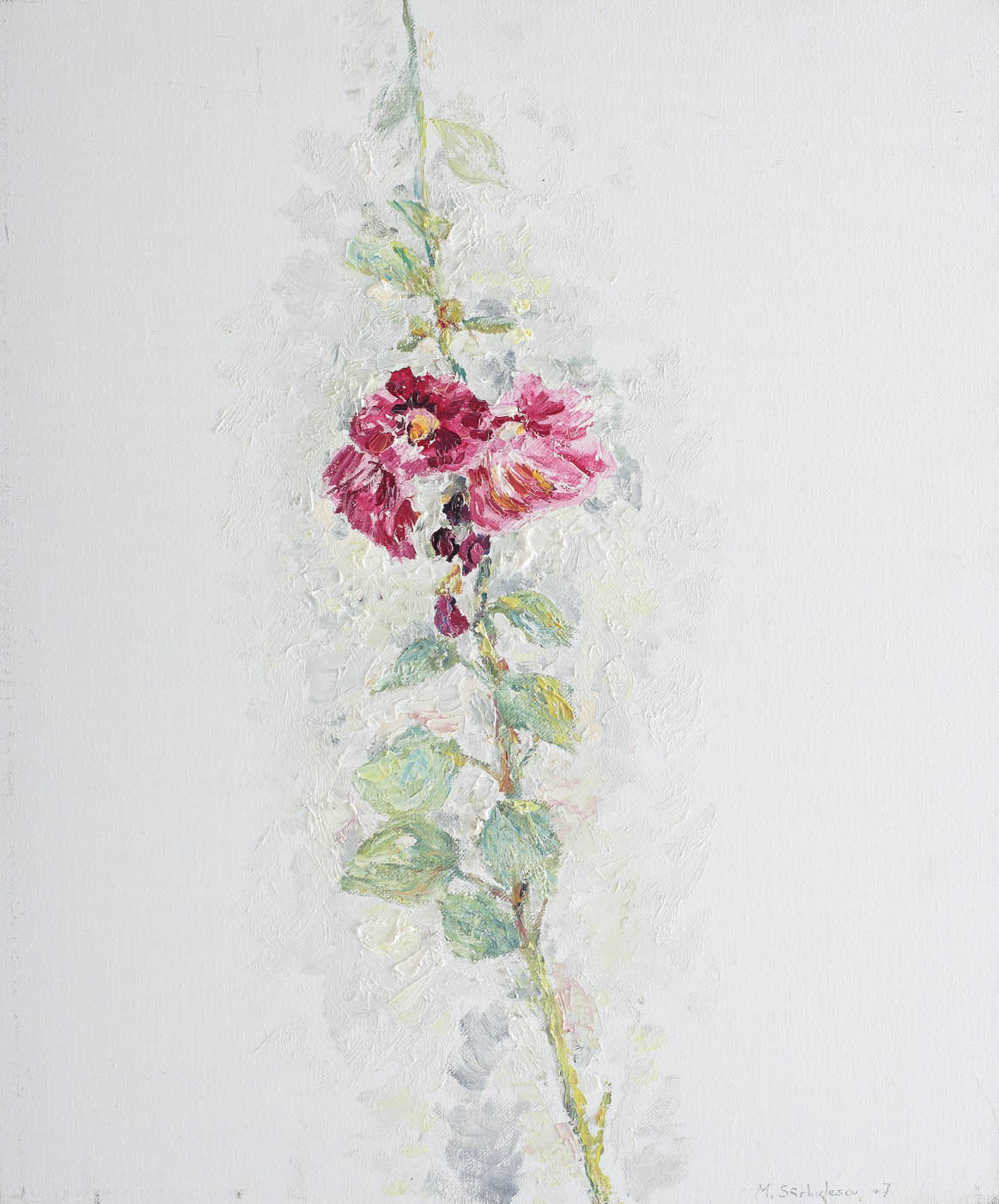 Hollyhock (Nalbă)