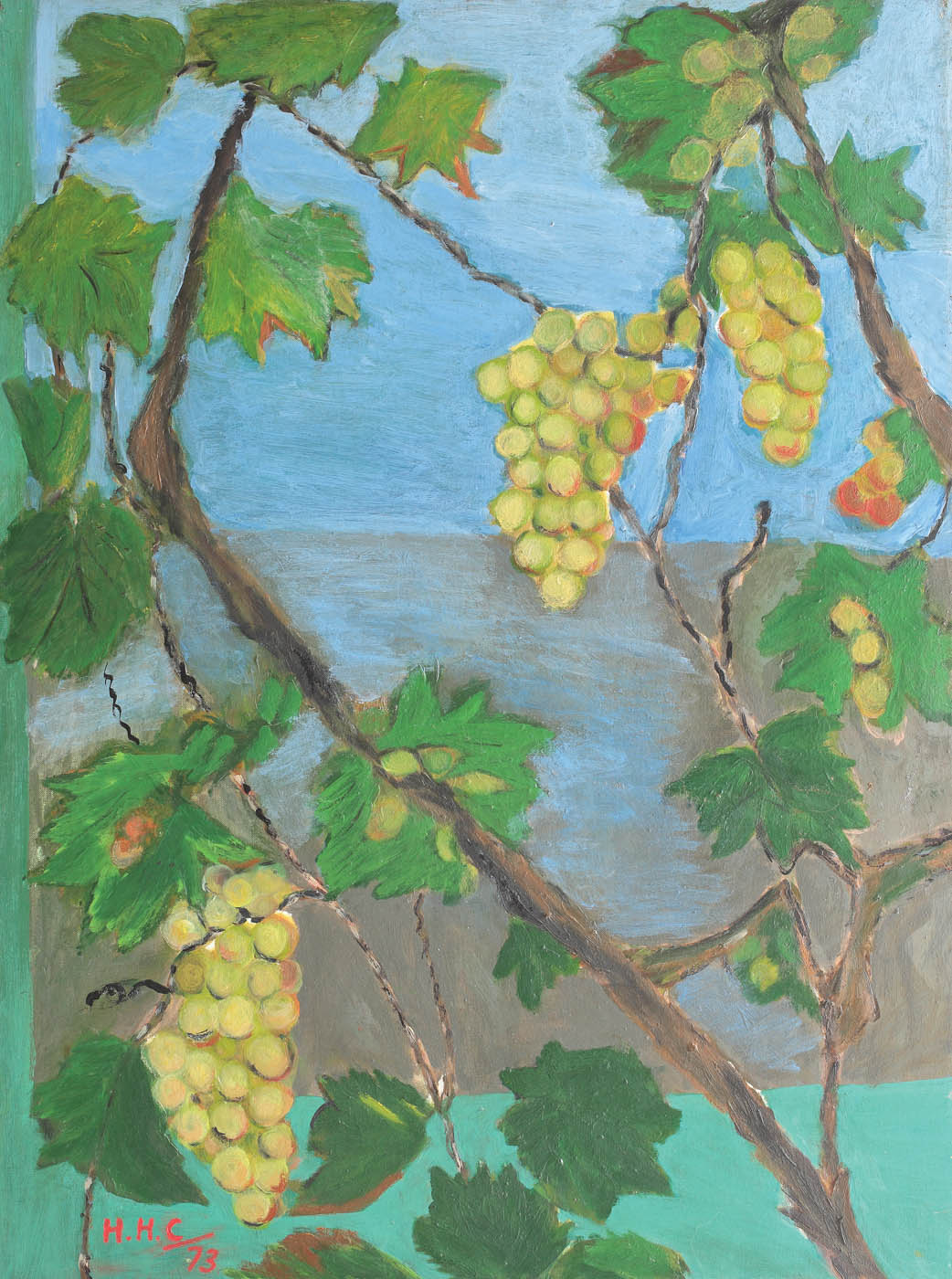 Grapevine