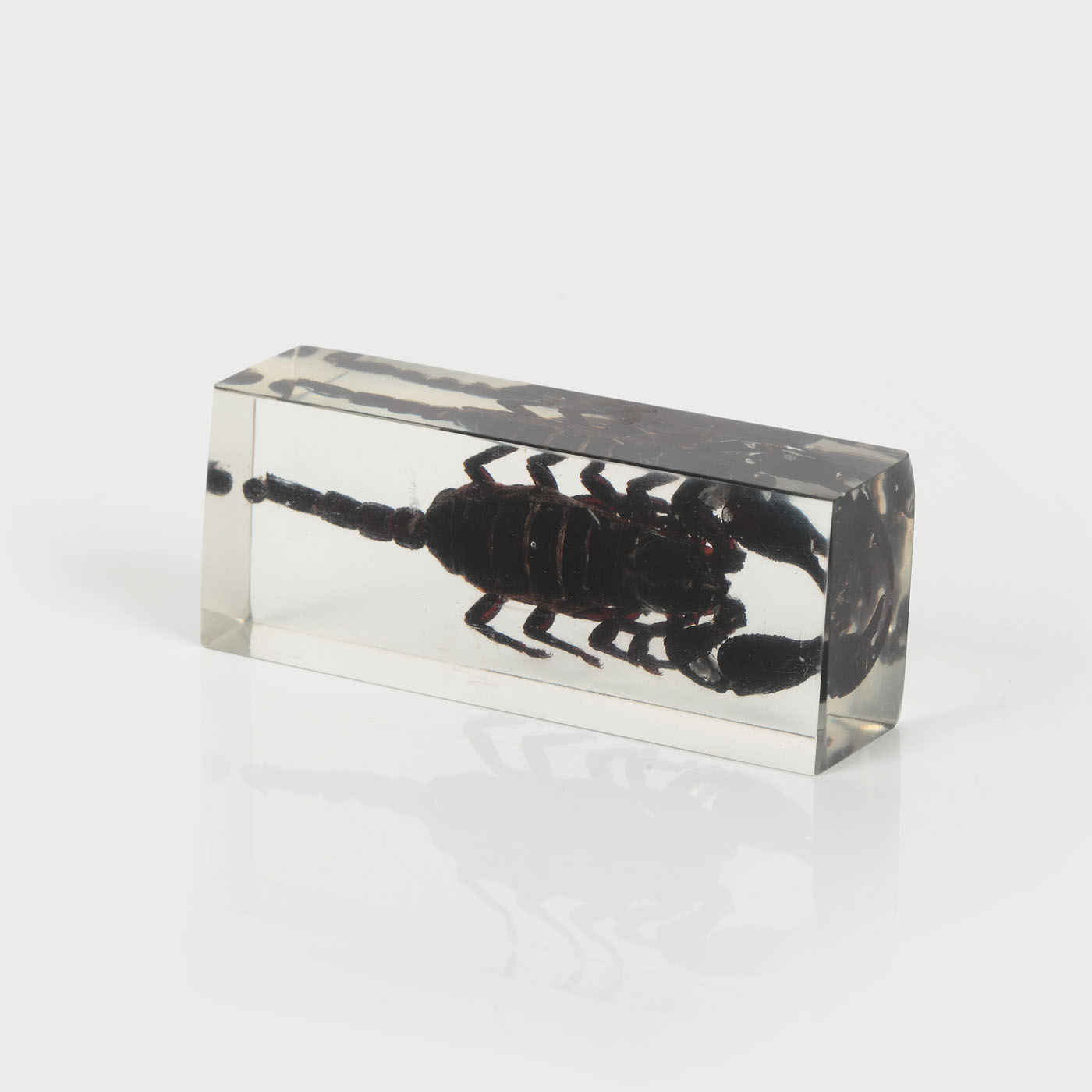 Scorpion, simbol al forțelor extreme