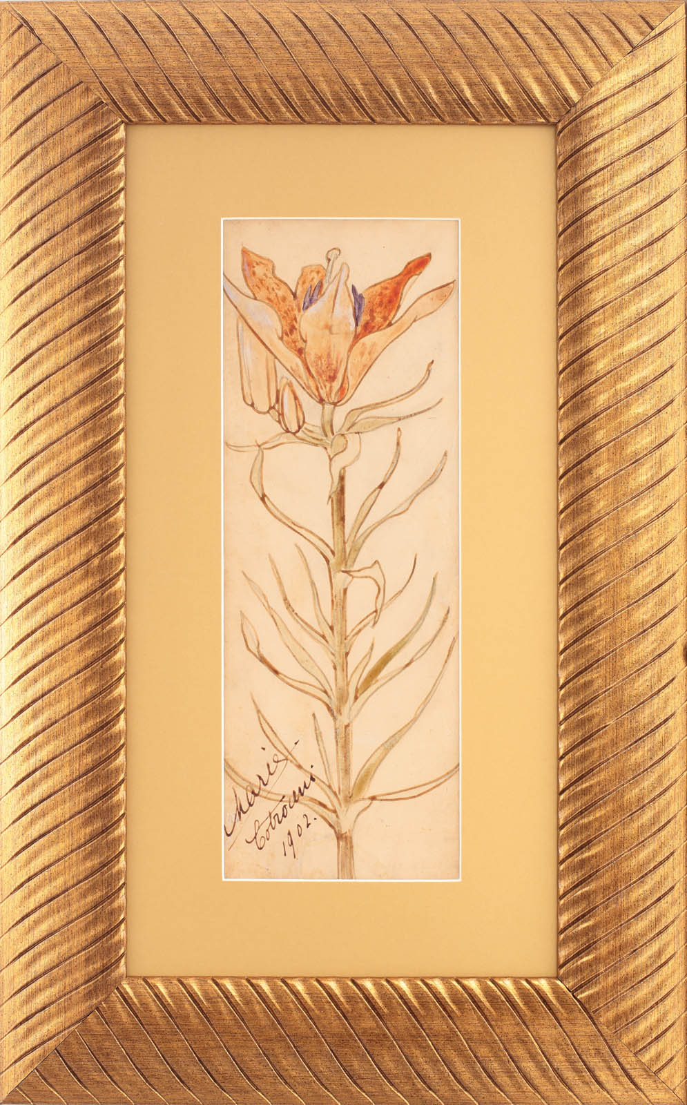 Floare de crin imperial