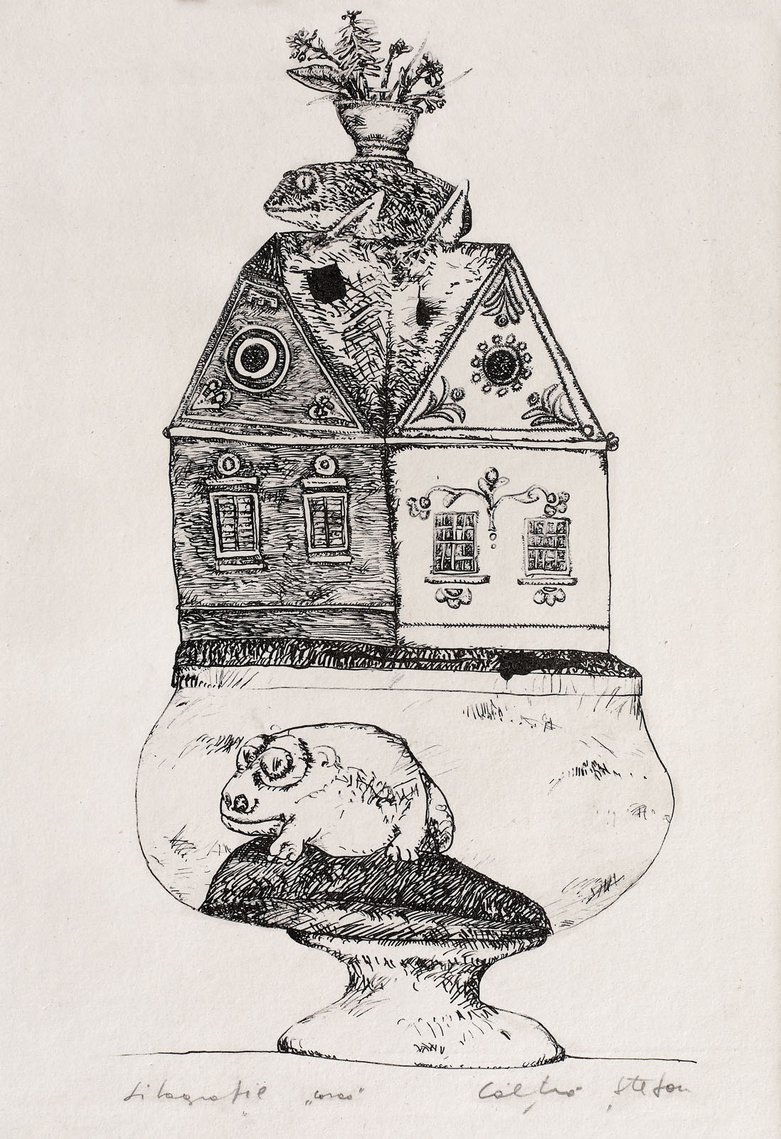 House wth frogs