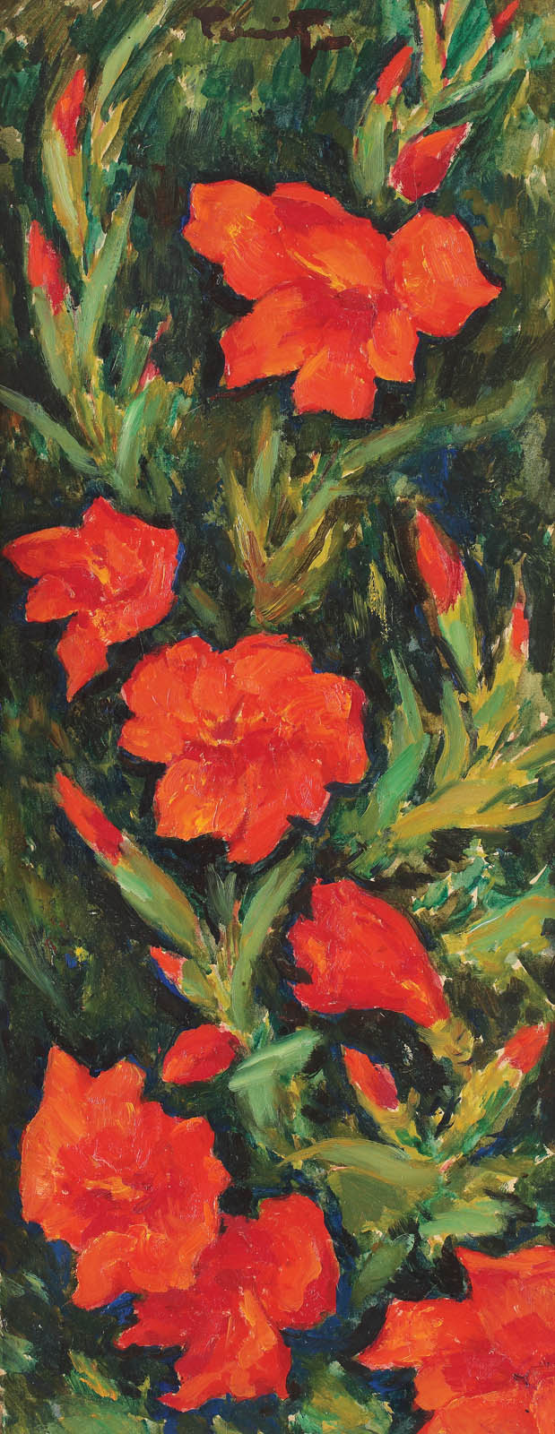 Gladiole roșii