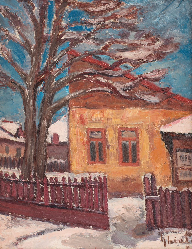 Birtul satului, iarna