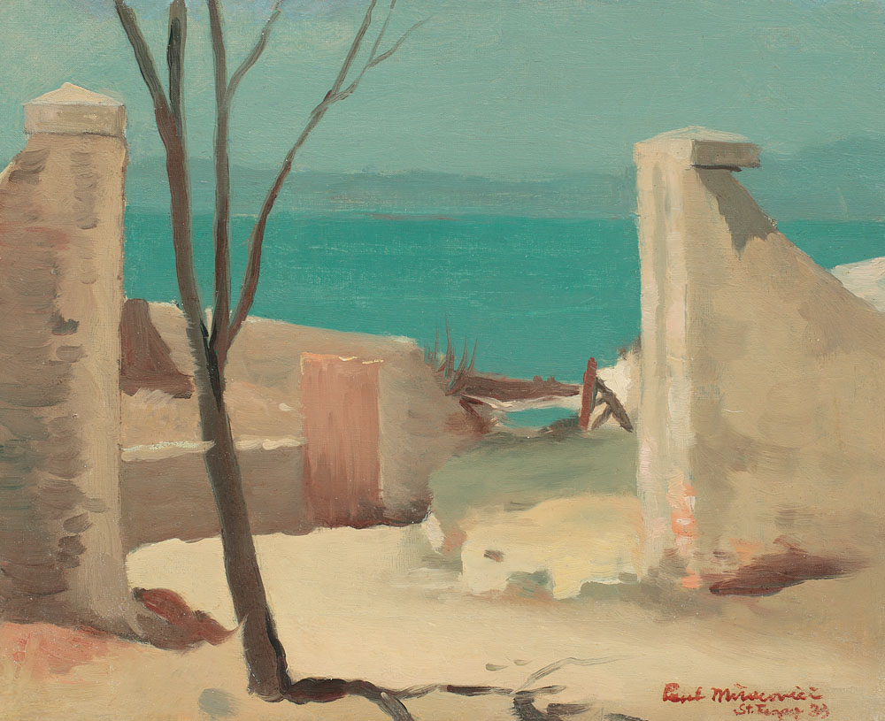 Peisaj din Saint-Tropez