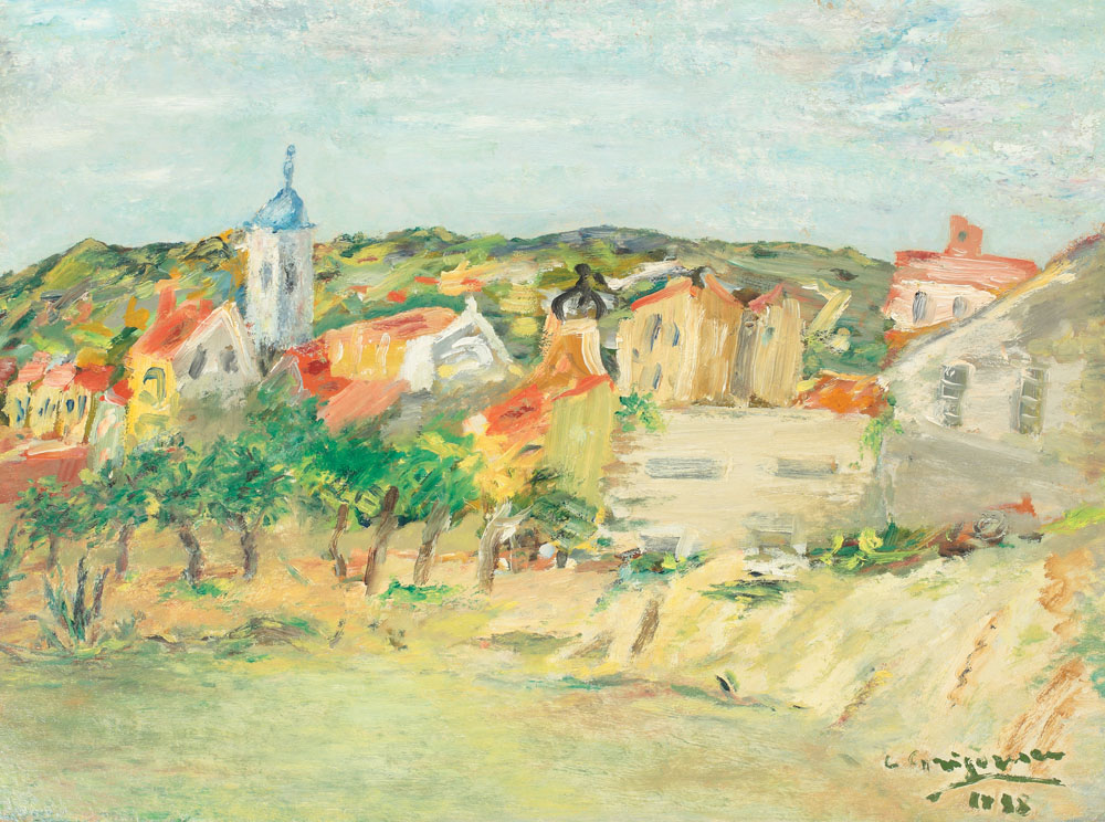 Case la Medgidia