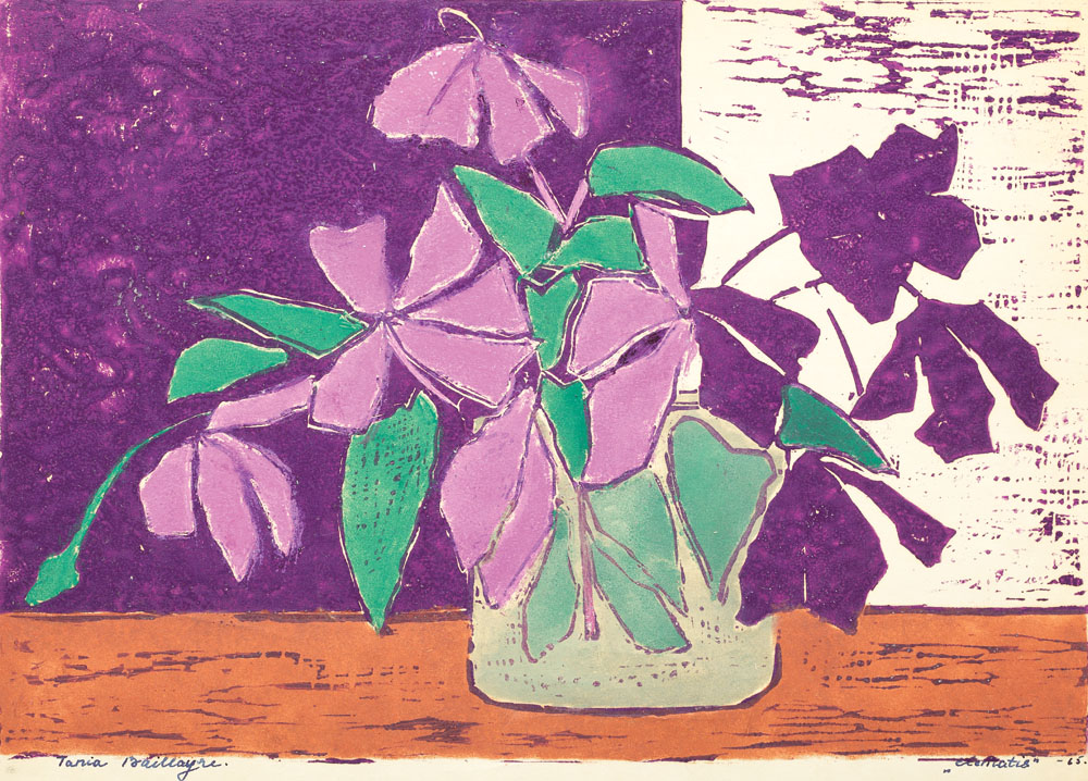 Flori de clematis