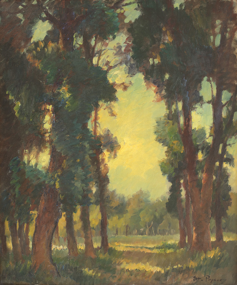 Luminiş de pădure