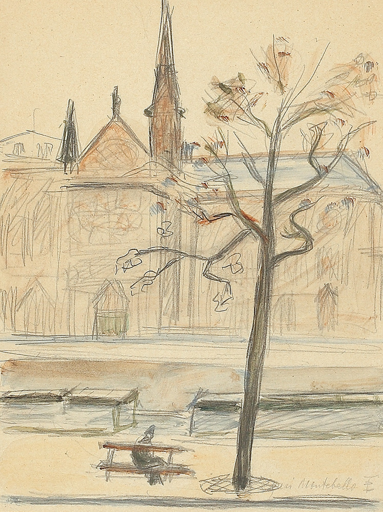 Notre Dame de Paris dinspre Cheiul Montebello