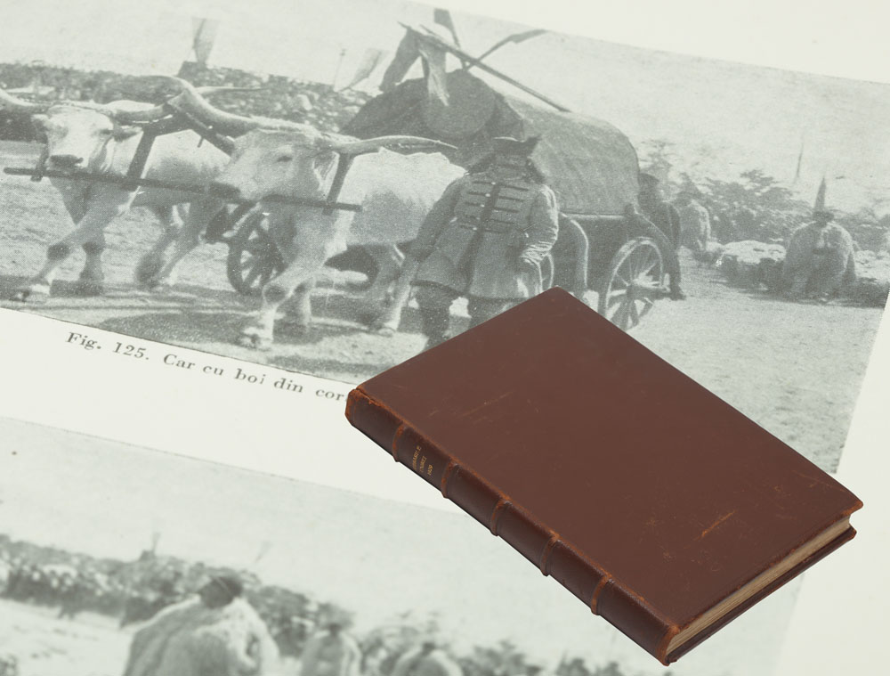 Albumul Serbărilor Unirii 10 Mai 1929