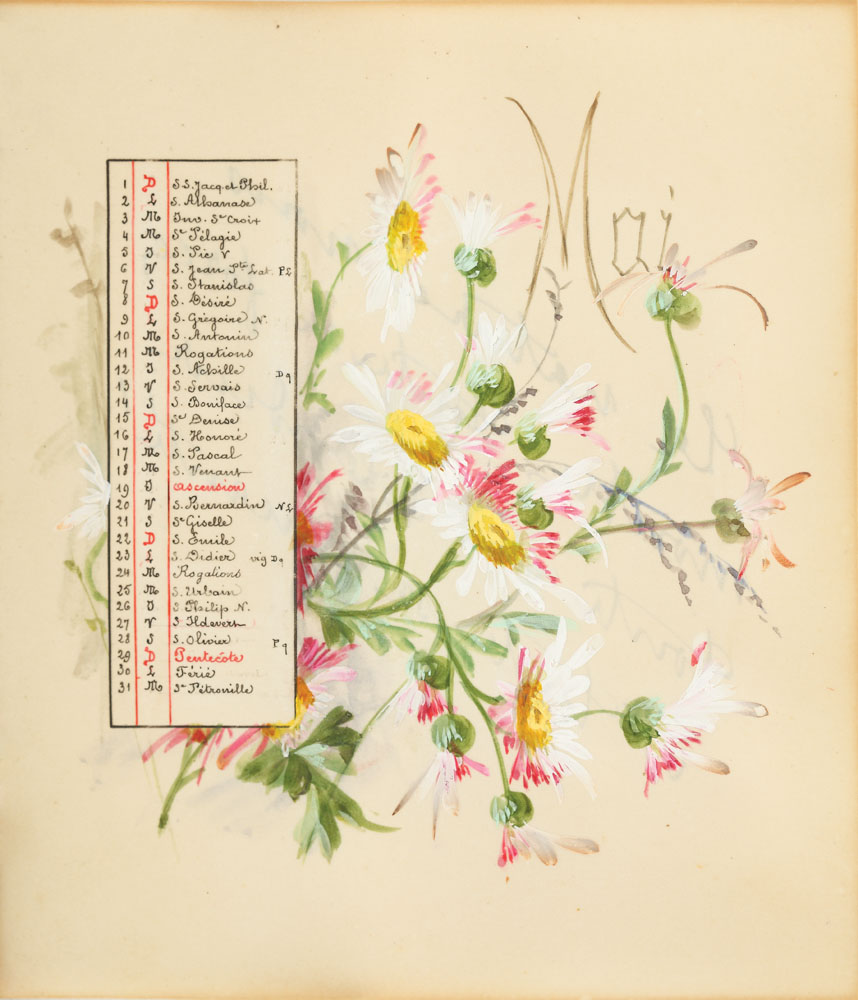 'Margarete sălbatice' (pagină de calendar cu motivul floral al lunii MAi 1898)