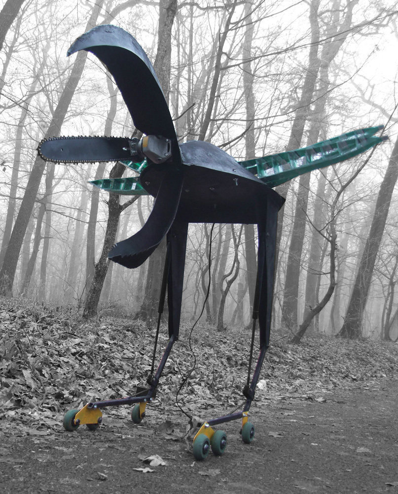 Female Unterholzkrafter (Muma pădurii)