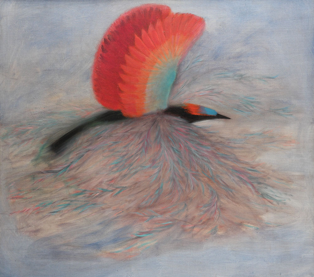 Pasărea Phoenix
