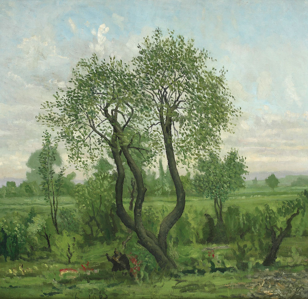 Peisaj