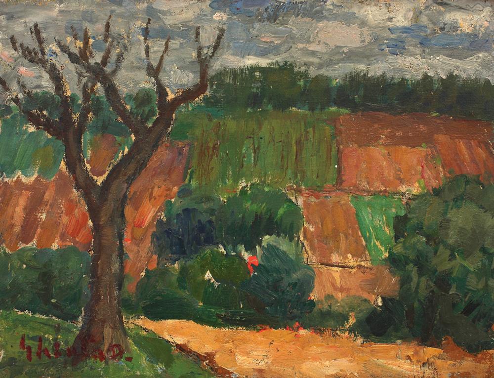 Peisaj la Tohan