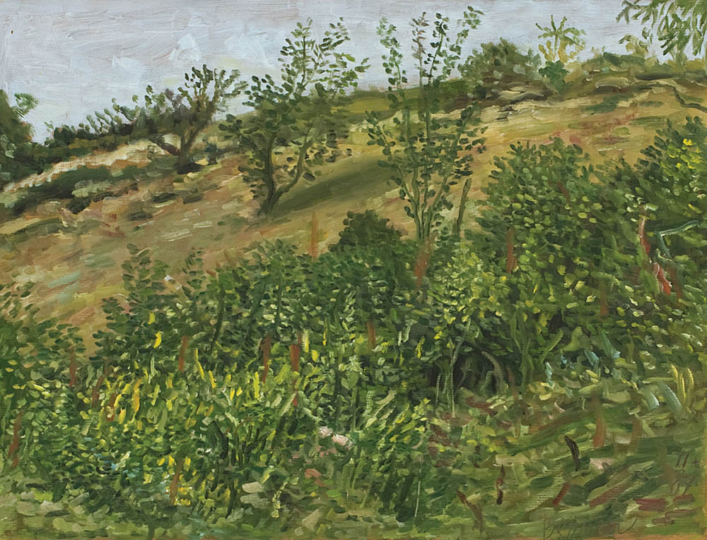 Primăvară