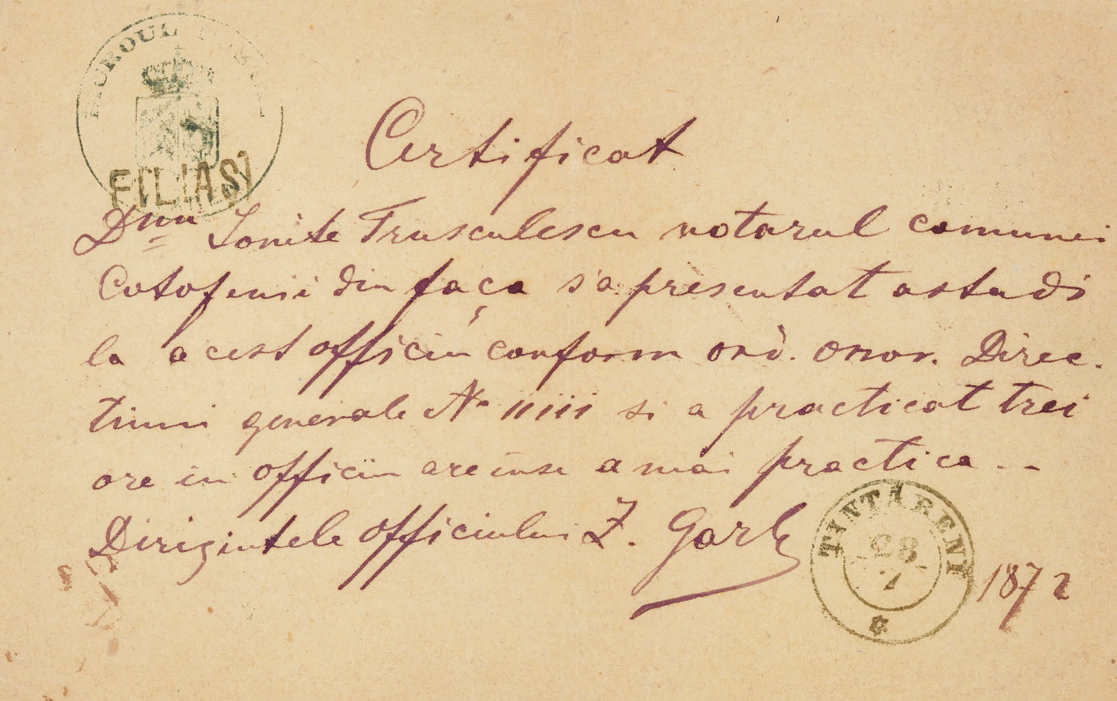 Certificat de practică notarială, Filiaşi, 1872