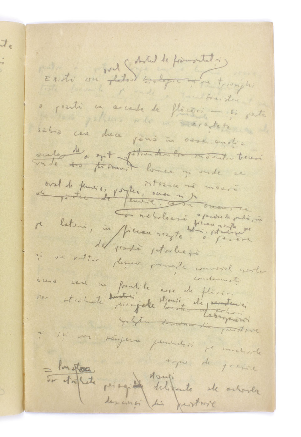 Geo Bogza's autograph notes on "Captarea Subconștientului / Entraping the subconcious" and "Cântec de revoltă, de dragoste și moarte / Song of insurgence, love and death", by Geo Bogza, 1933, from the collection of Geo Bogza, Avant-garde poet (22 pages)