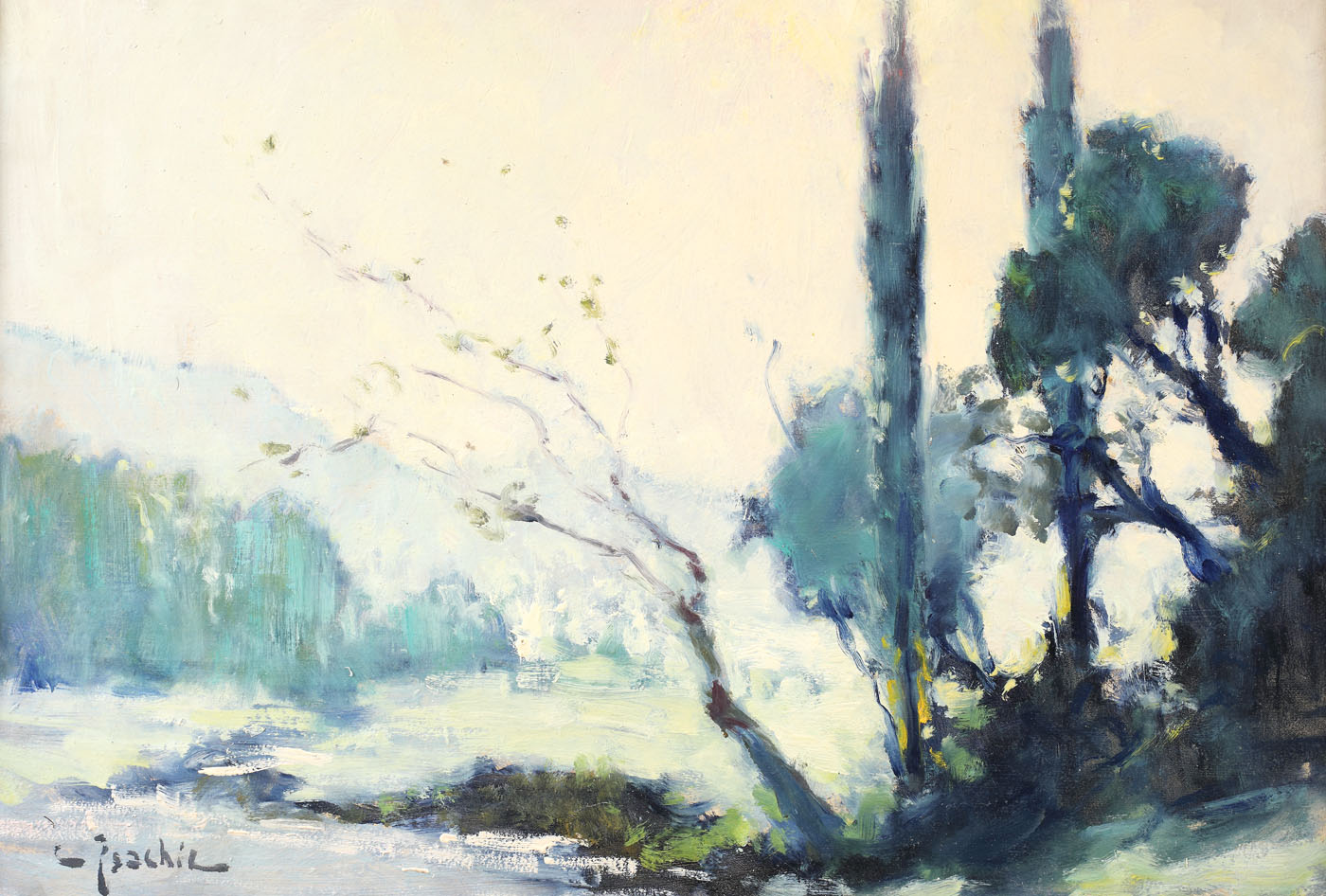 Landscape near the River Grui