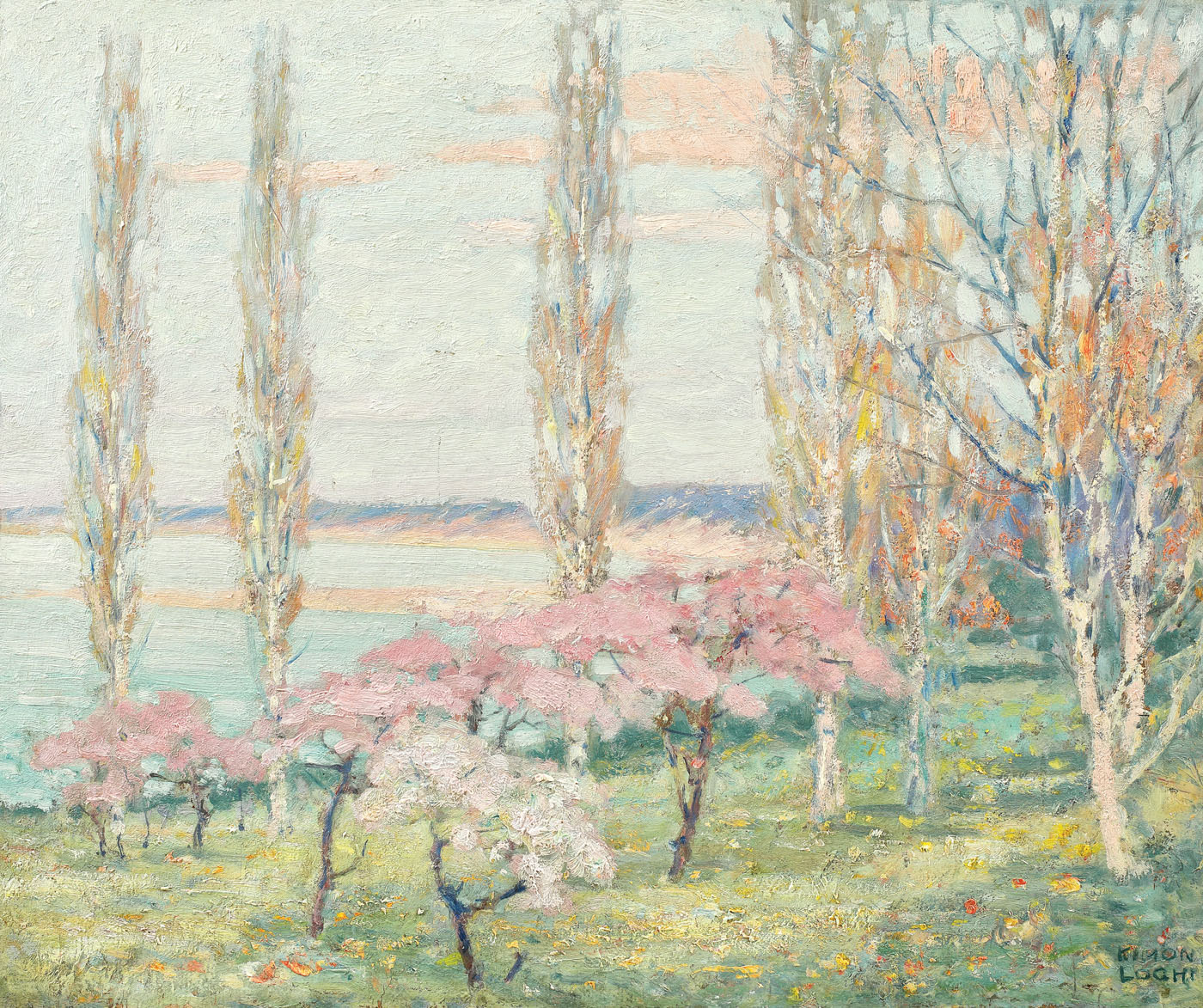 Cireși înfloriți la Balcic
