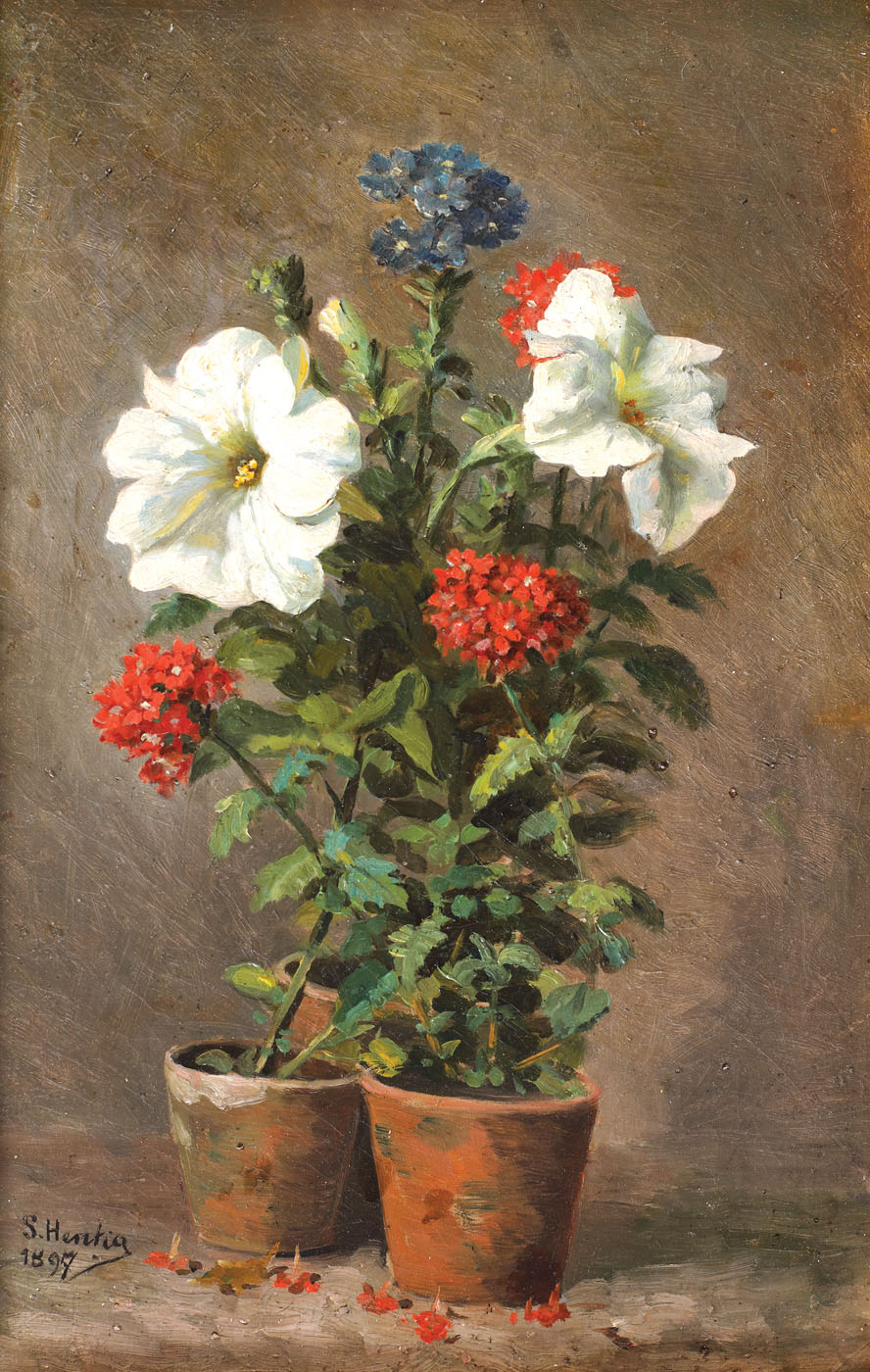 Geranium Pot