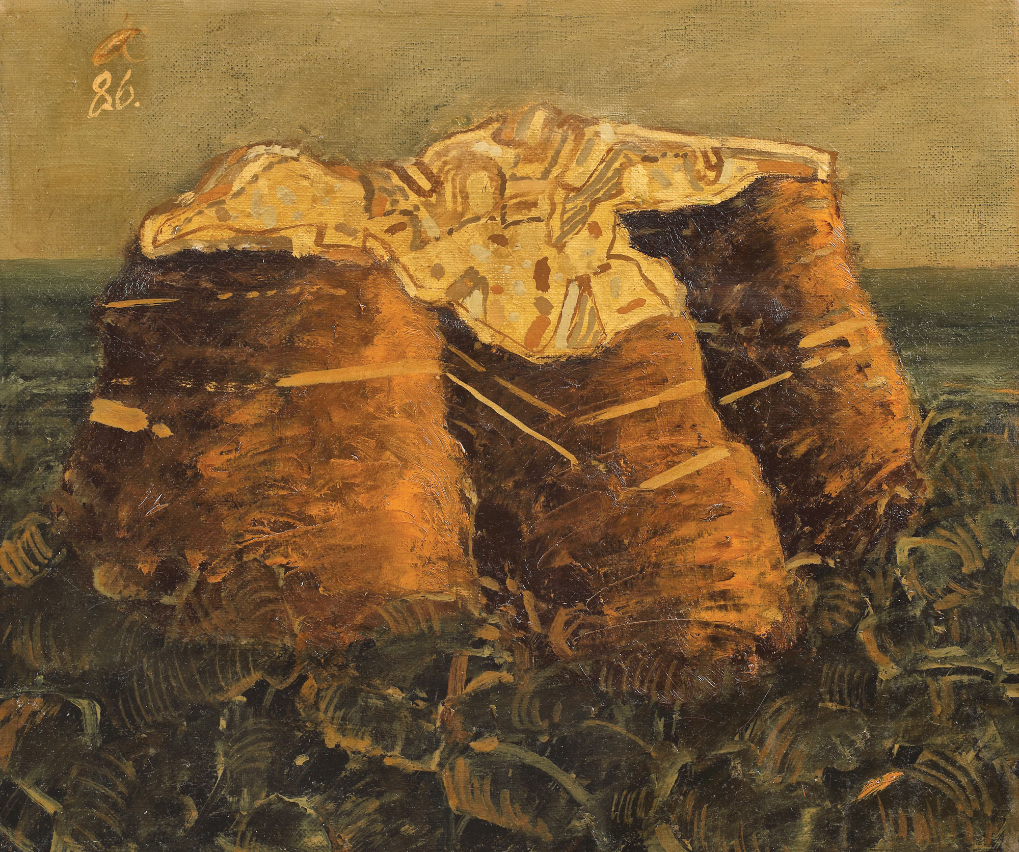 Rădăcini