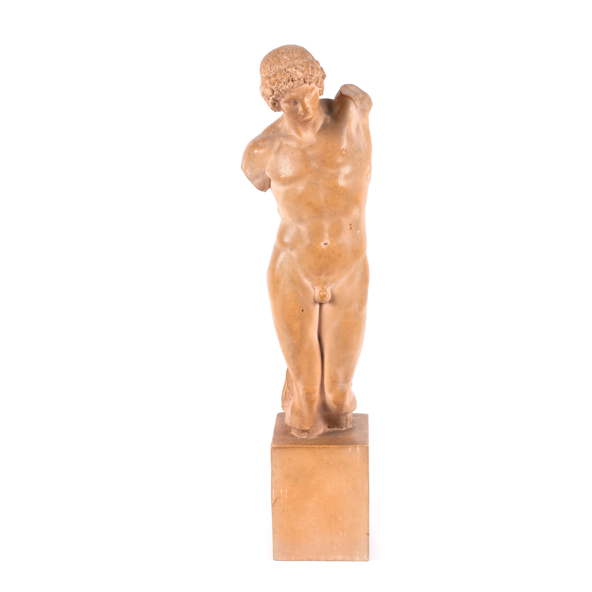Torso