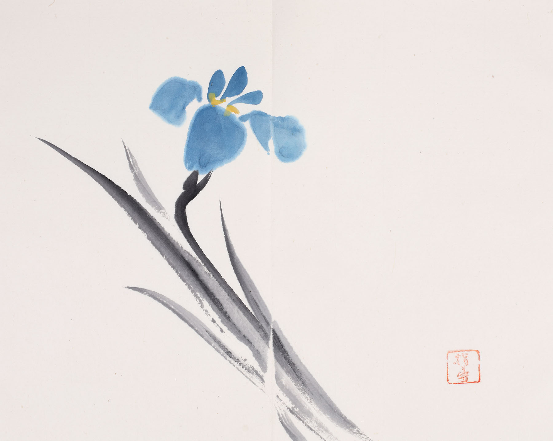 Iris