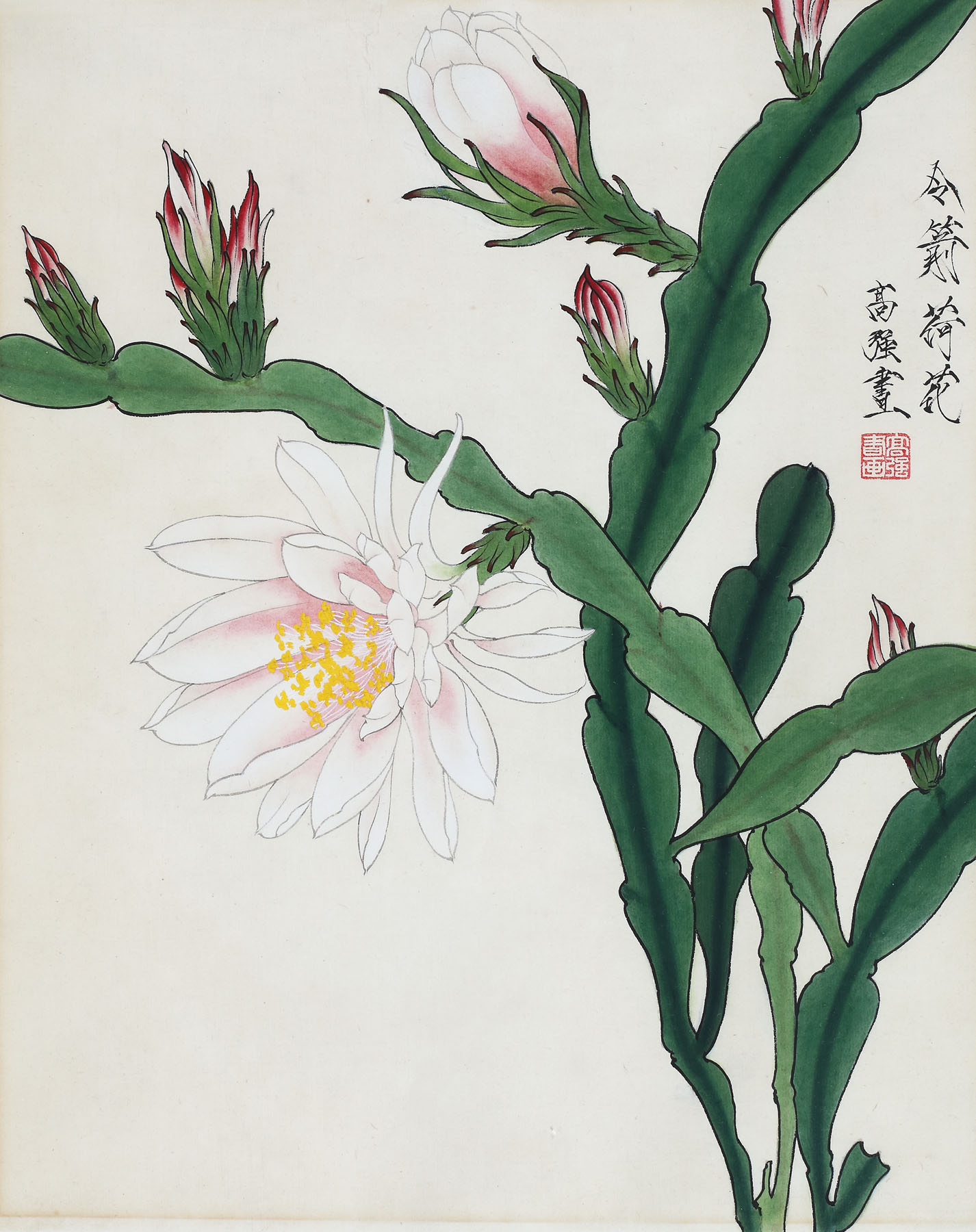 Cacti flowers