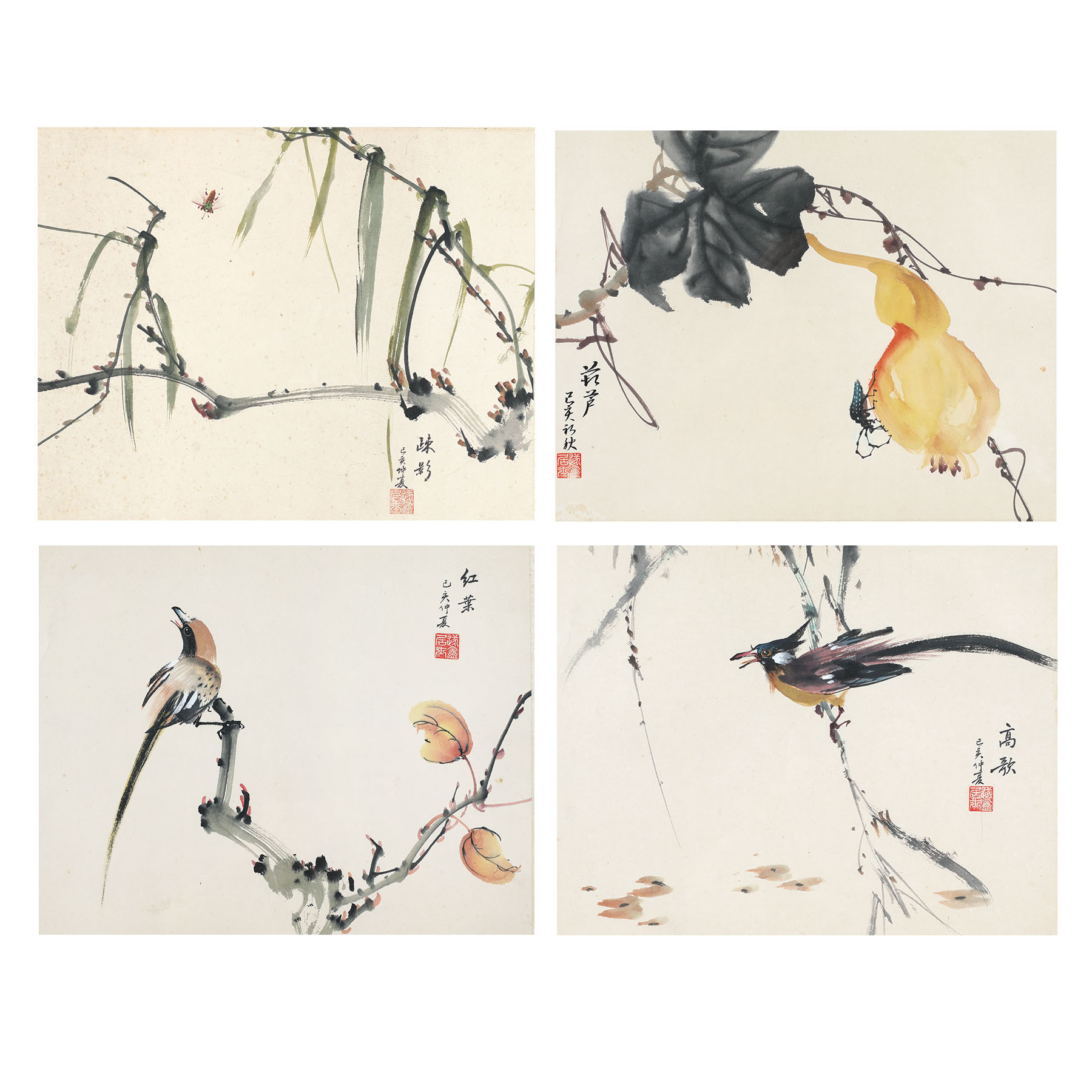 Flowers, birds and insects