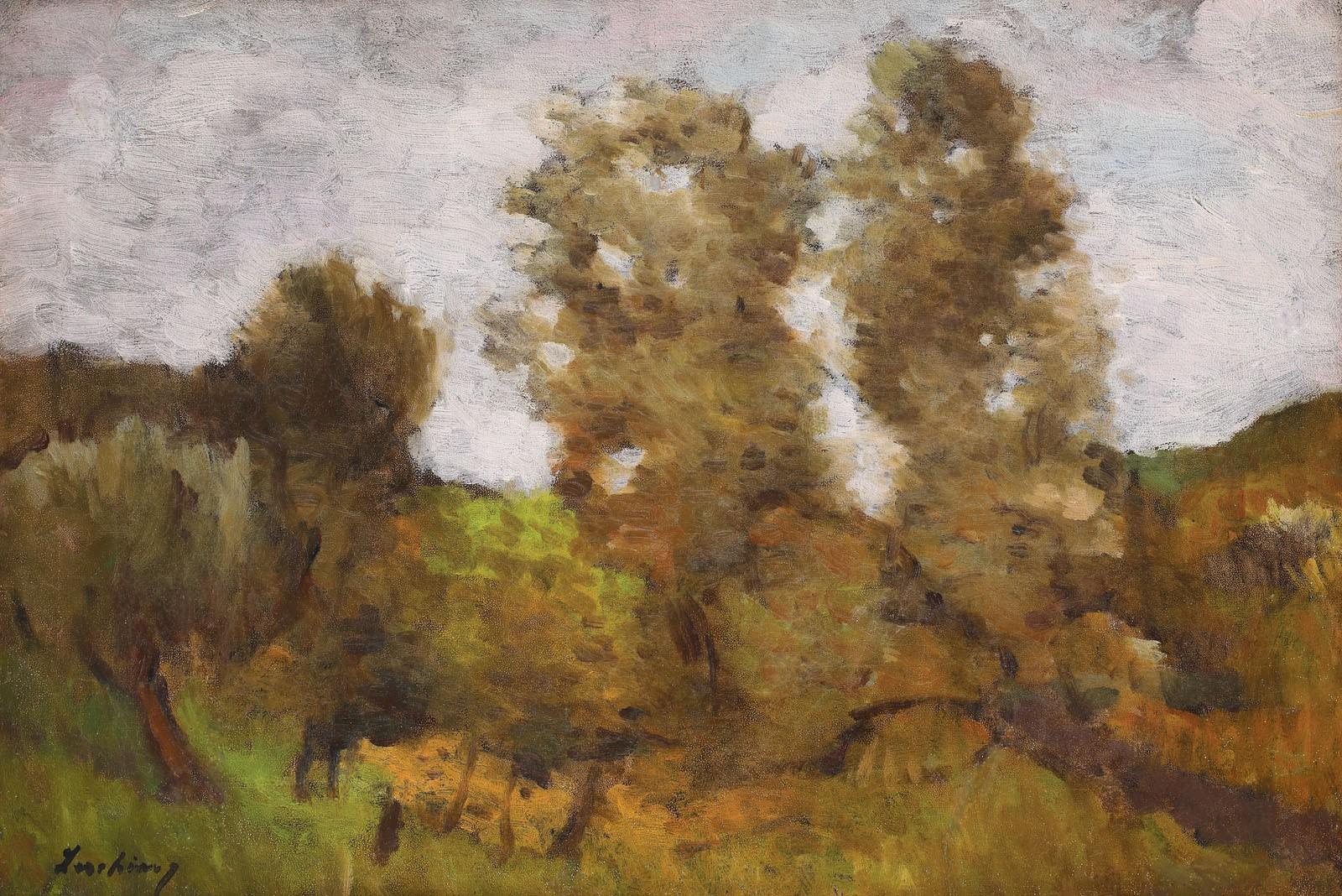 Peisaj la Brebu