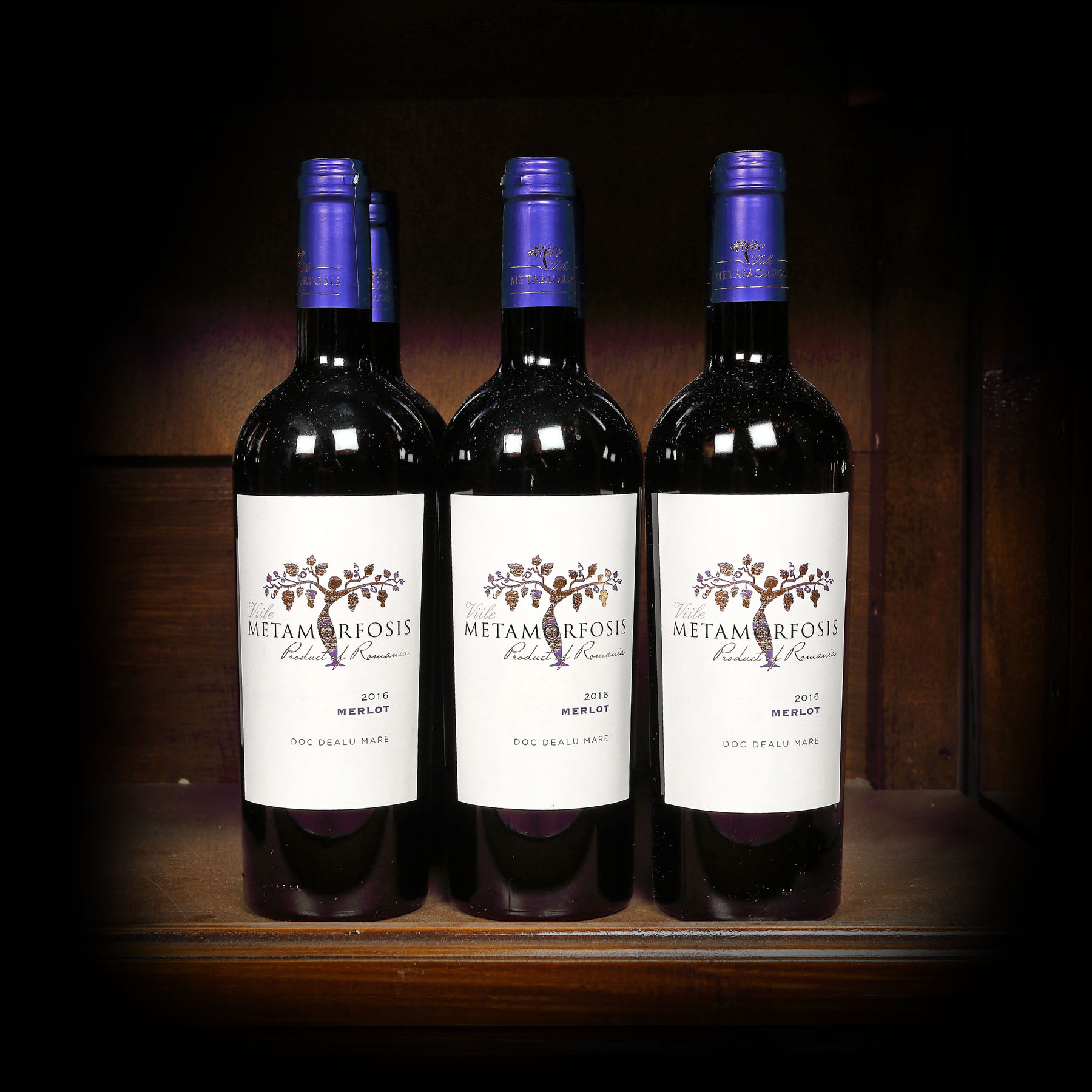 Lot de Merlot, Viile Metamorfosis, 2016, 6st x 0,75l