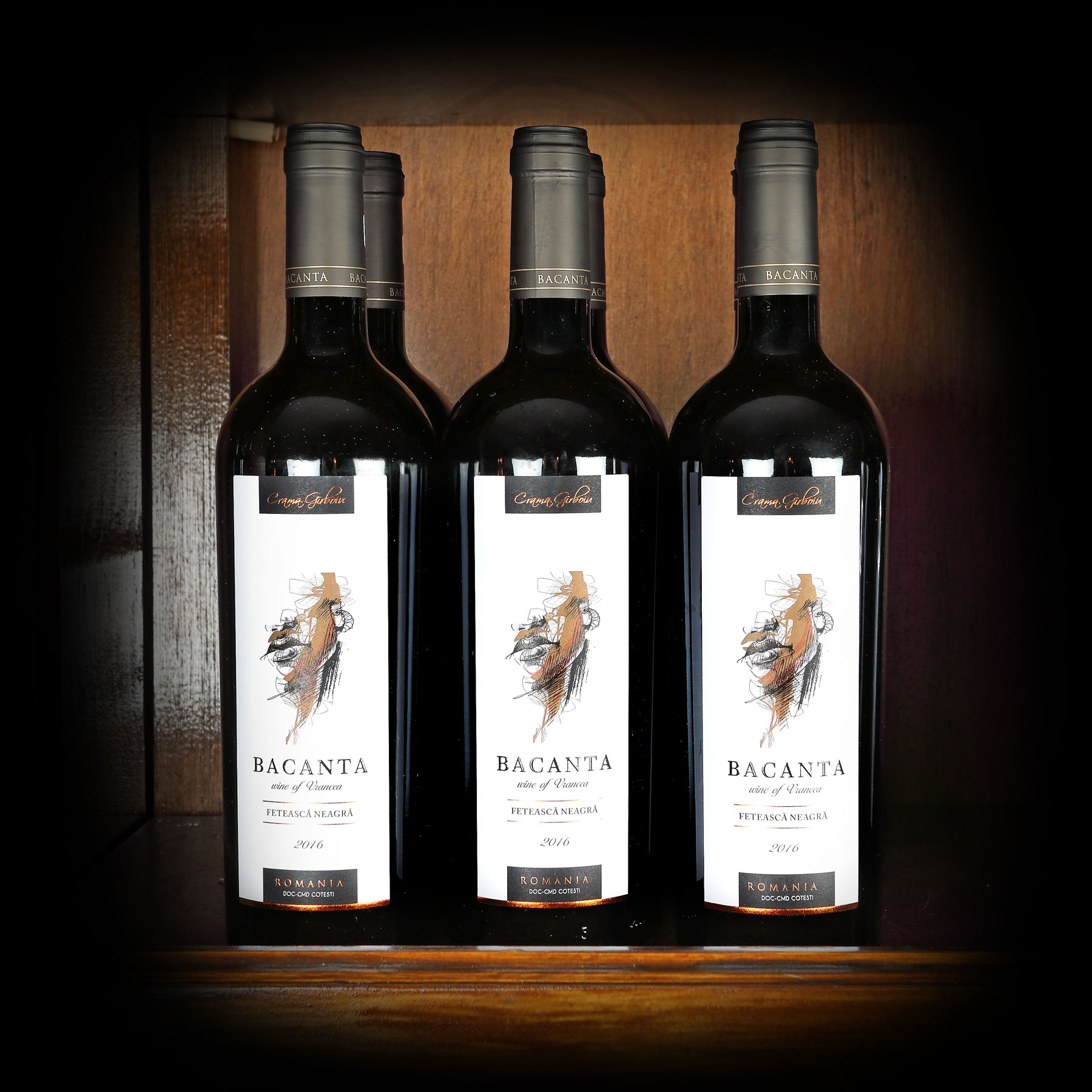 Lot de vinuri Bacanta Fetească Neagră, Crama Gîrboiu, Vrancea, 2016, 6st x 0,75l