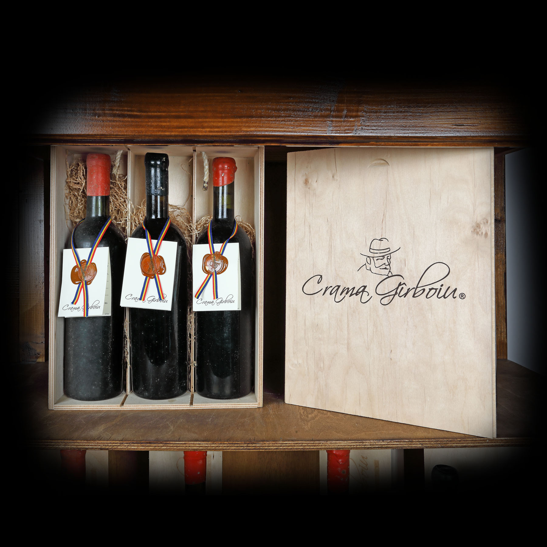 Lot din Vinoteca Gîrboiu, Merlot, 2007-2009, Vrancea, 3st x 0,75l