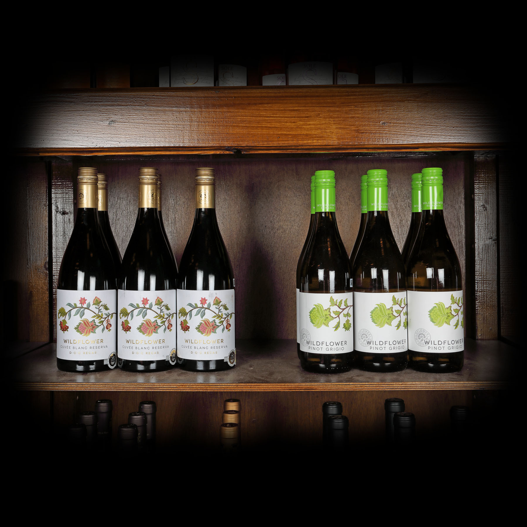 Lot de vinuri Recaș, Dealurile Banatului, gamele pentru export, 2018, 12st x 0,75l