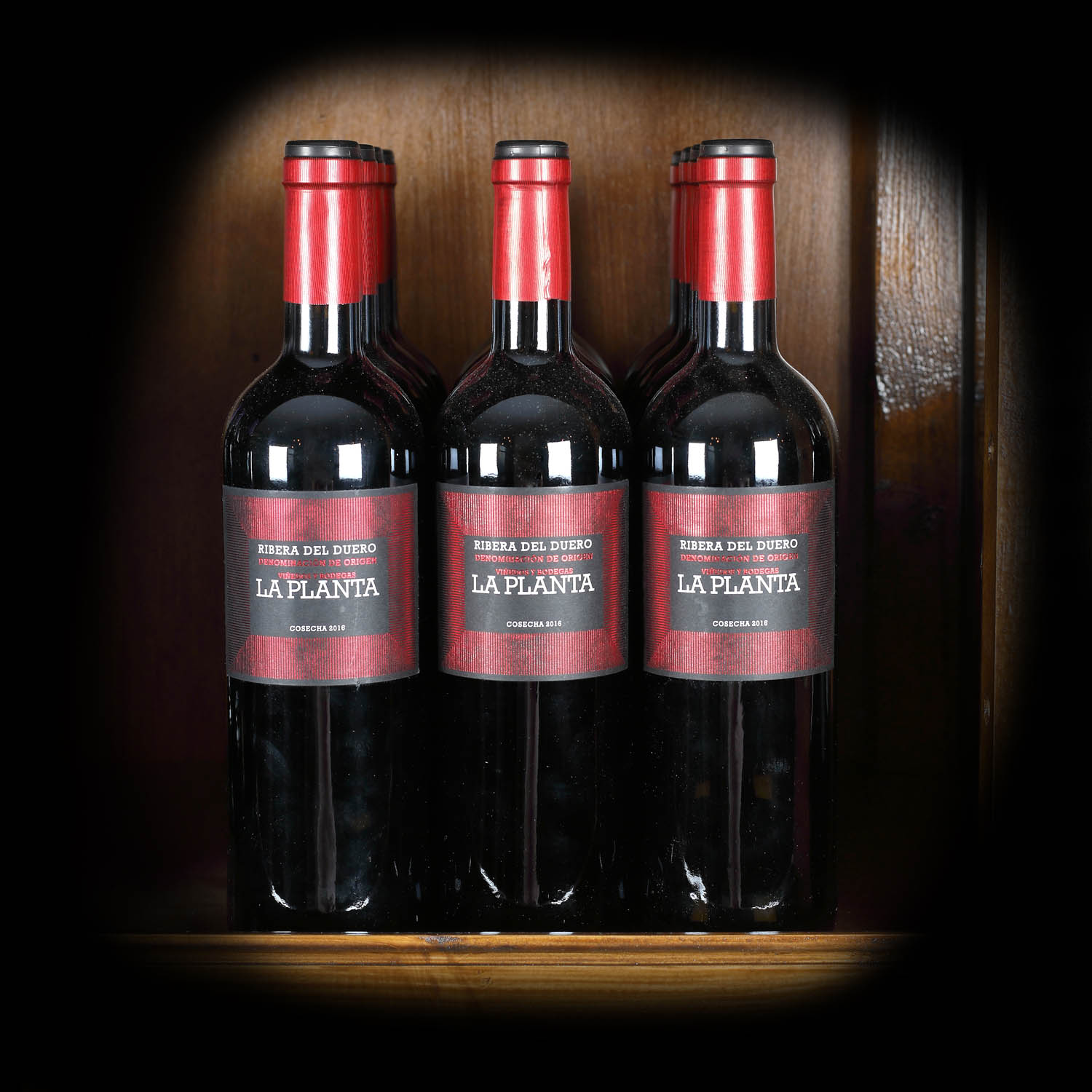 Lot de vinuri gama La Planta, Bodega Arzuaga, DOC Ribera del Duero, 2016, 12st x 0,75l