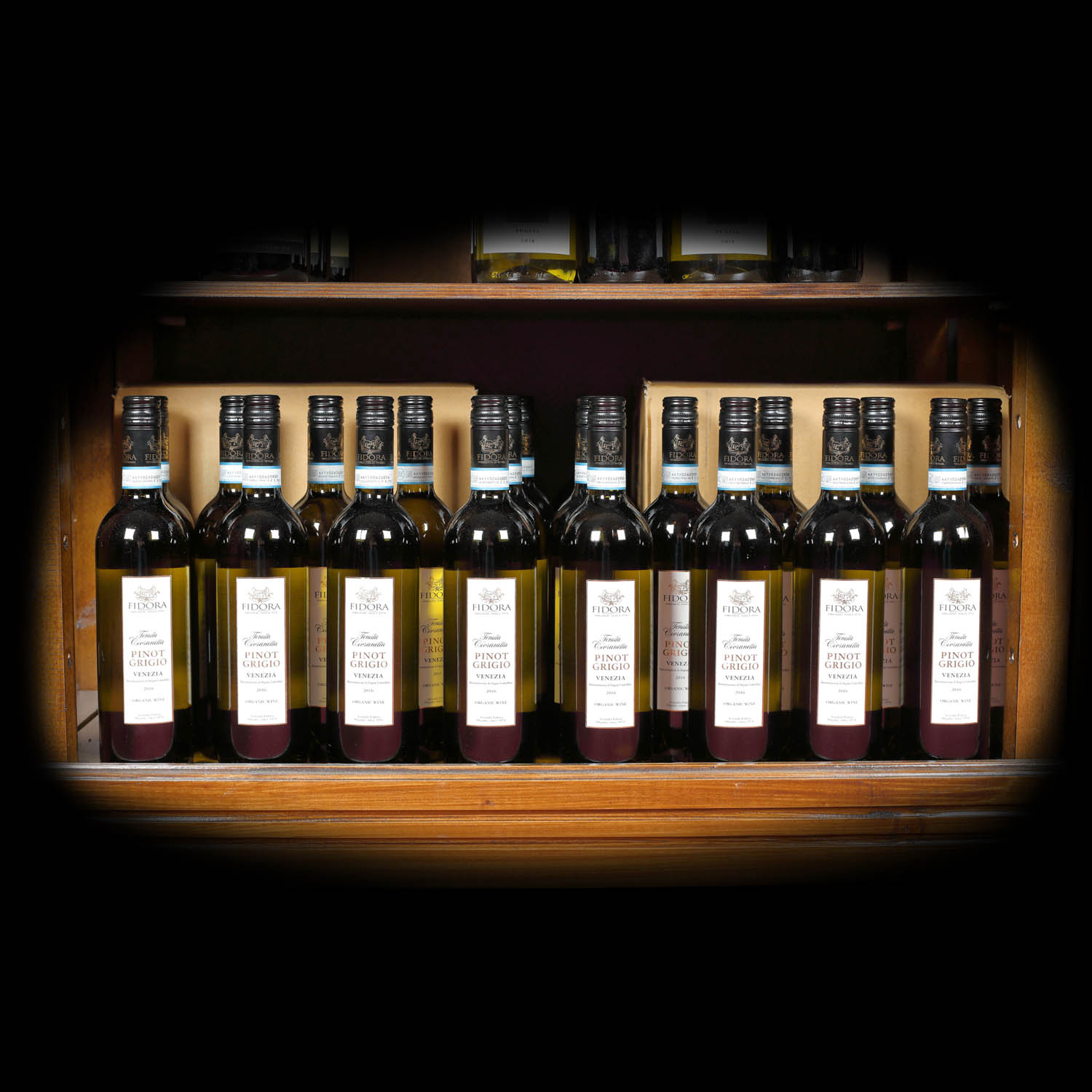 Lichidare de vinuri Pinot Grigio Bio Premium Tenuta Civranetta, Fidora, DOC, 2016, 48st x 0,75l