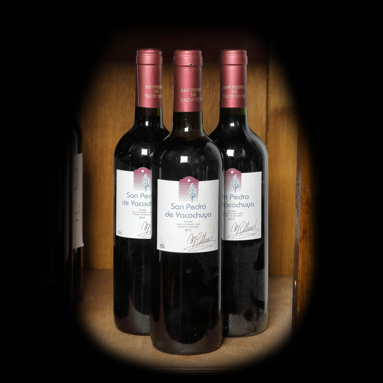 Lot de vin roșu, San Pedro de Yacochuya,  Cafayate, Argentina, 2012, 3st x 0,75l