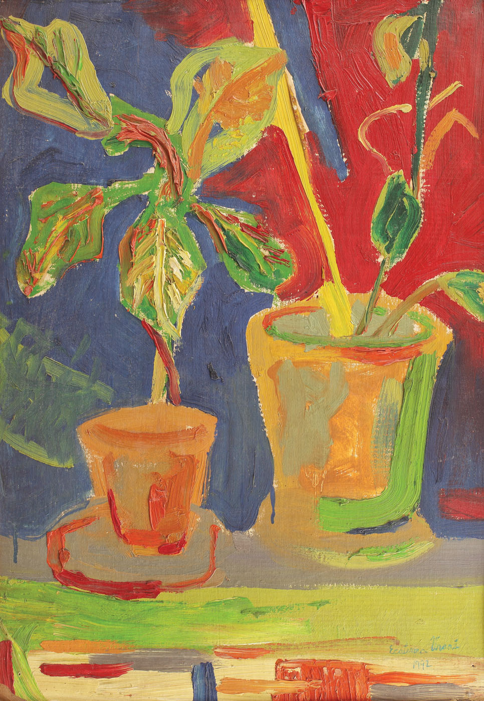 Ficus in the Studio