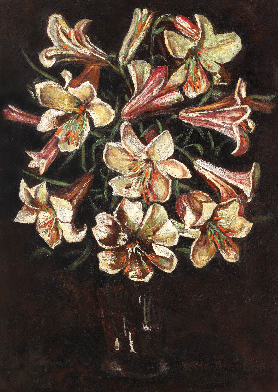Crini albi