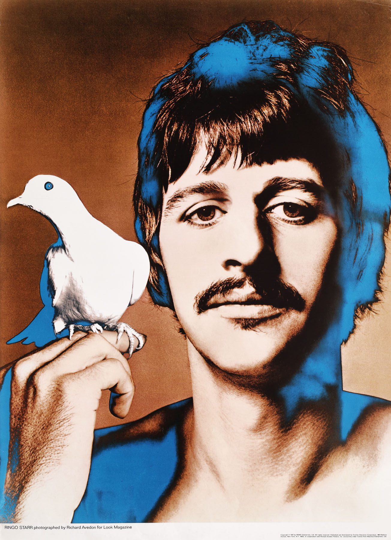 Ringo Starr - poster after Richard Avedon's photograph for Look magazine